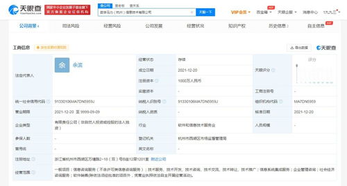 信息系統(tǒng)集成服務的全面解析